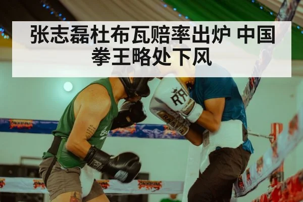 张志磊杜布瓦赔率出炉 中国拳王略处下风