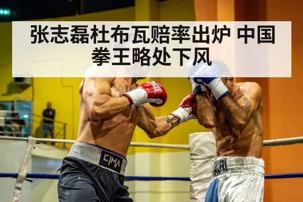 heavyweight fight